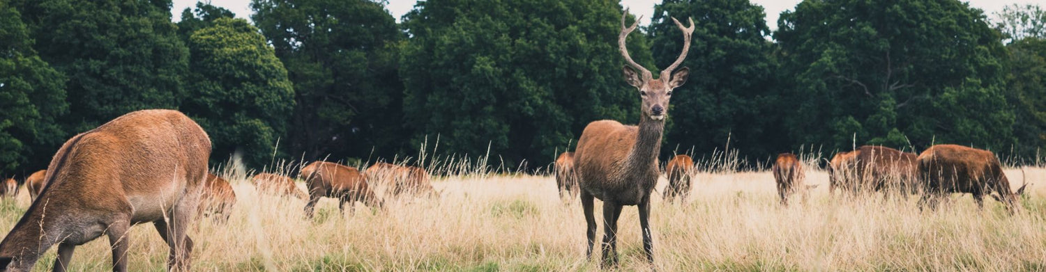 Great places to explore in London
