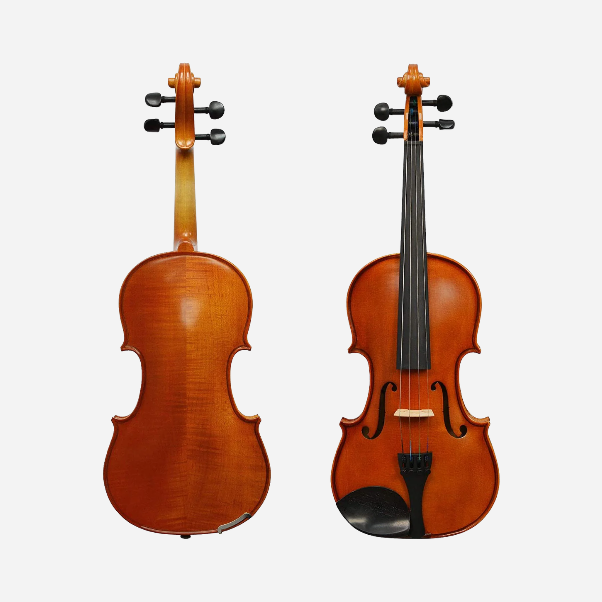 Forenza Prima I Series Full Size Violin Outfit - Rental