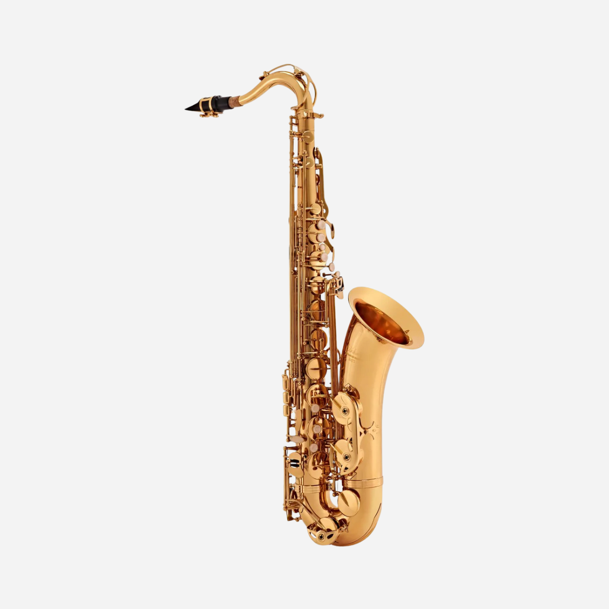 Elkhart 100TS Tenor Saxophone