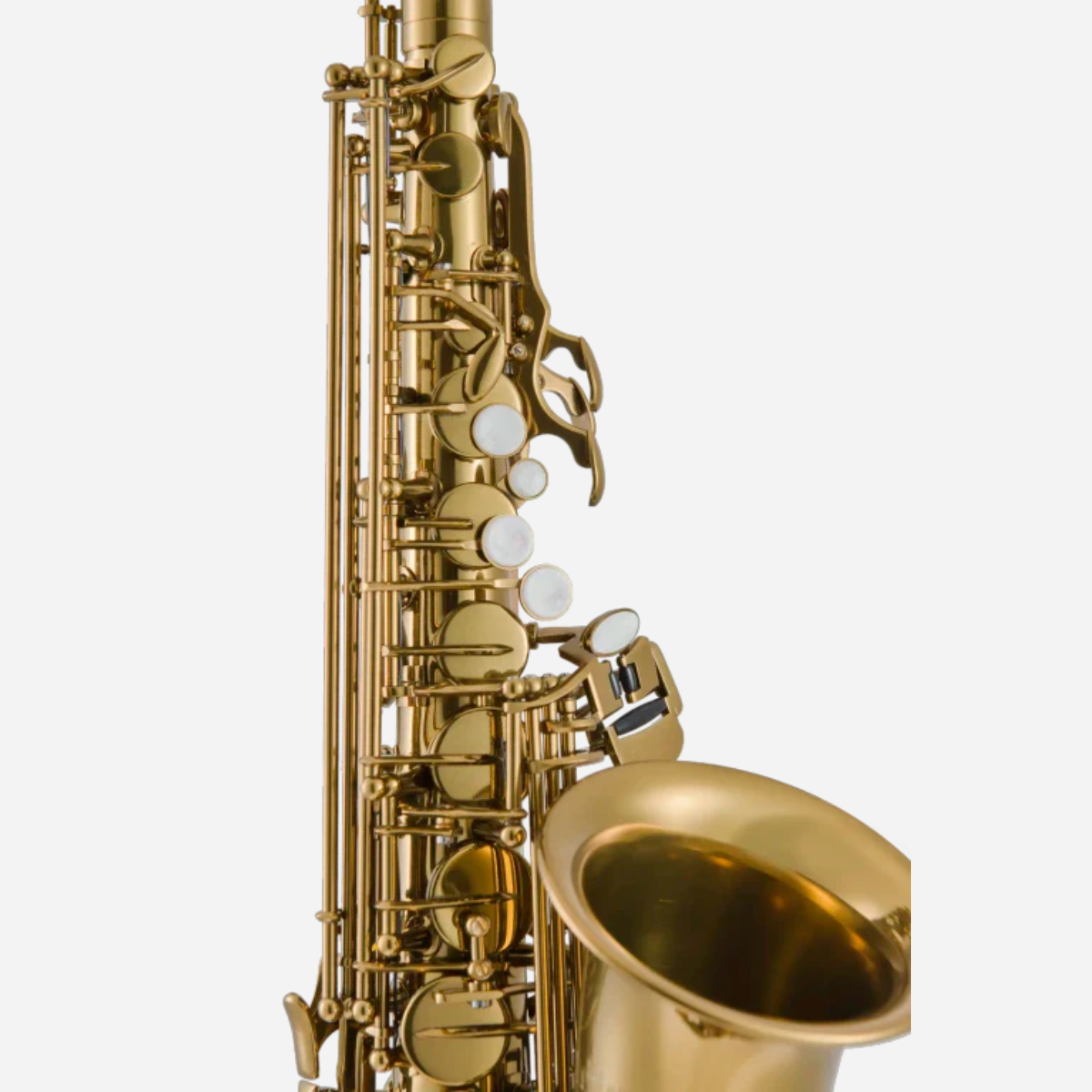 Leblanc LAS411 Alto Saxophone, Gold Lacquer