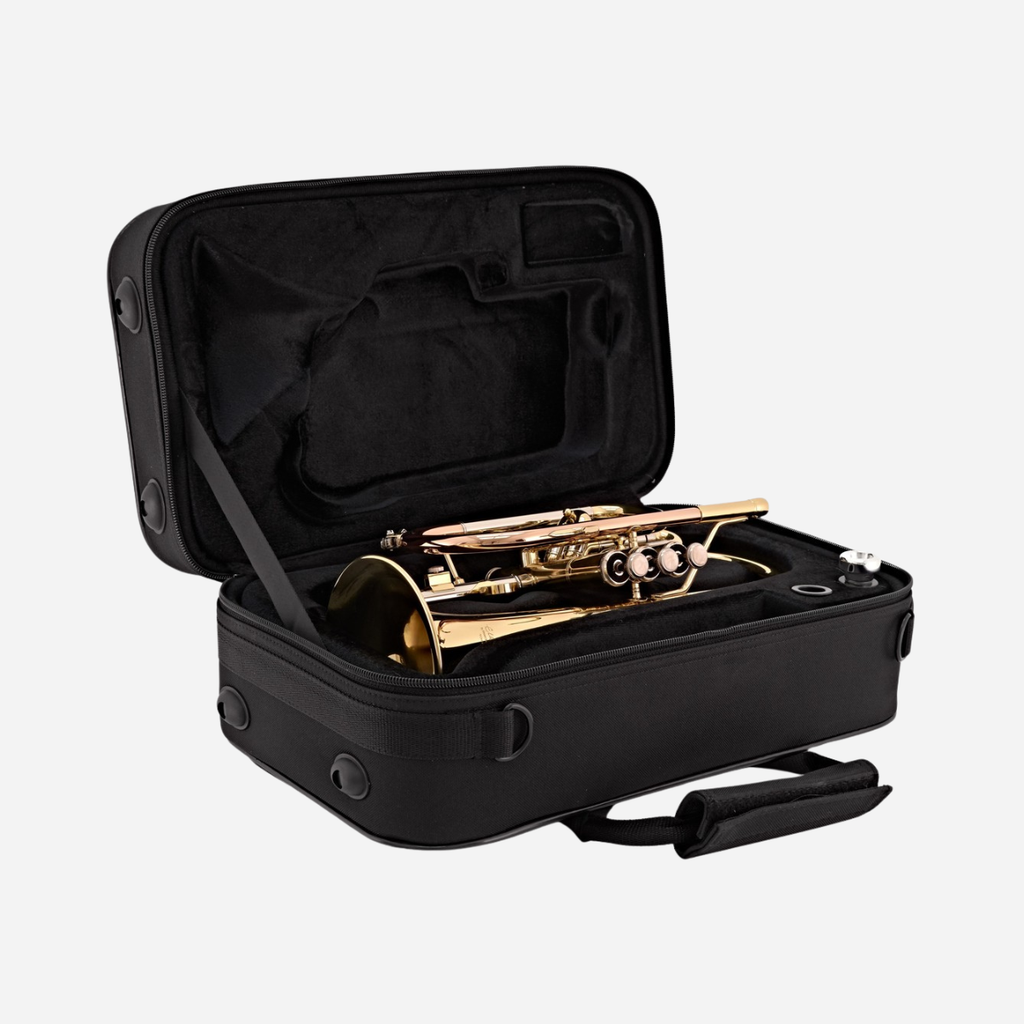 Elkhart 100CR Series I Bb cornet