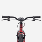 Trek Precaliber 20 Freewheel