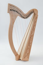 Gold Harp Bundle - Heritage 29-String Minstrel Harp
